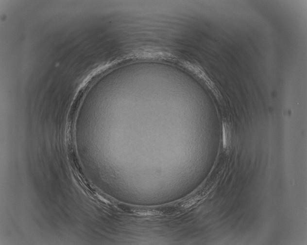 X0000084520579200703091604