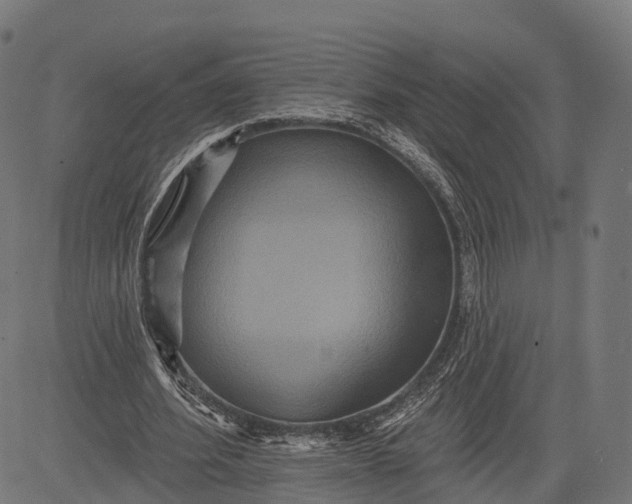 X0000084520580200703091604