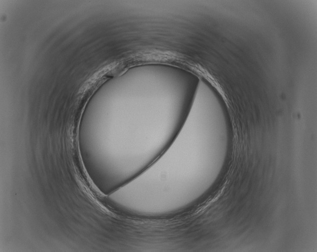 X0000084520581200703091604