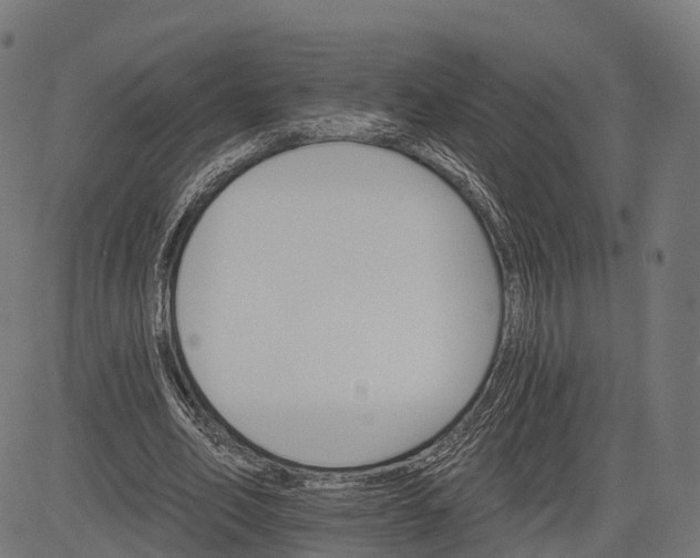 X0000084520582200703091604