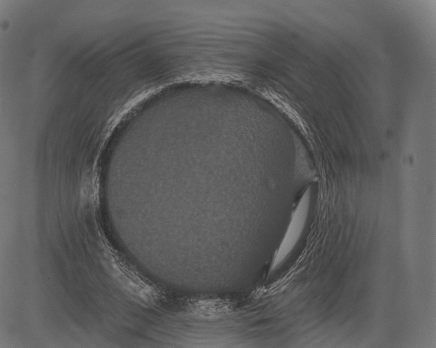 X0000084520584200703091604