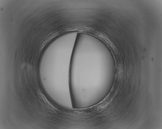 X0000084520585200703091604