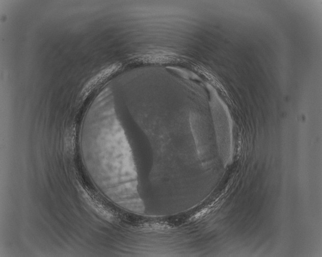 X0000084520586200703091604