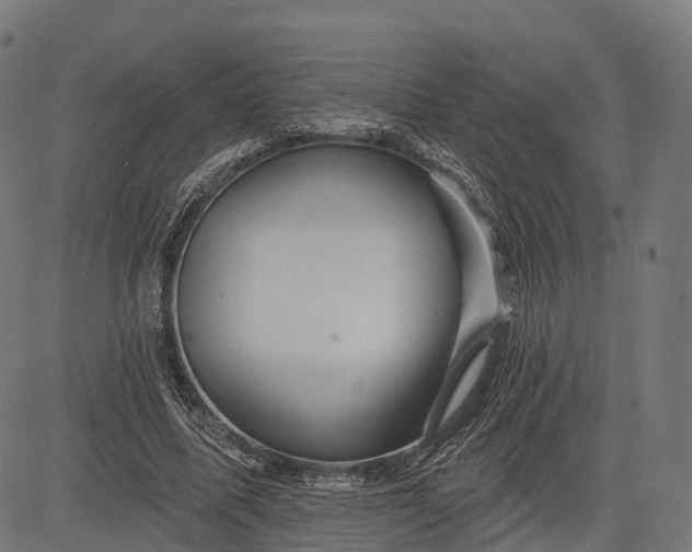 X0000084520587200703091604