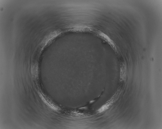 X0000084520588200703091604