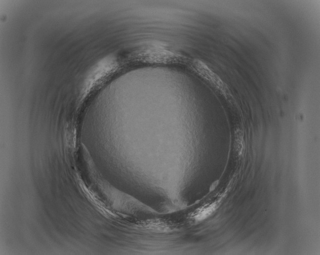 X0000084520589200703091604