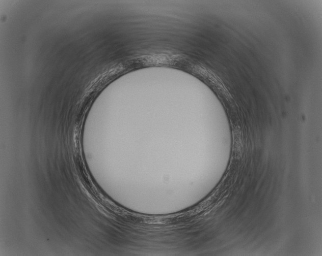 X0000084520590200703091604