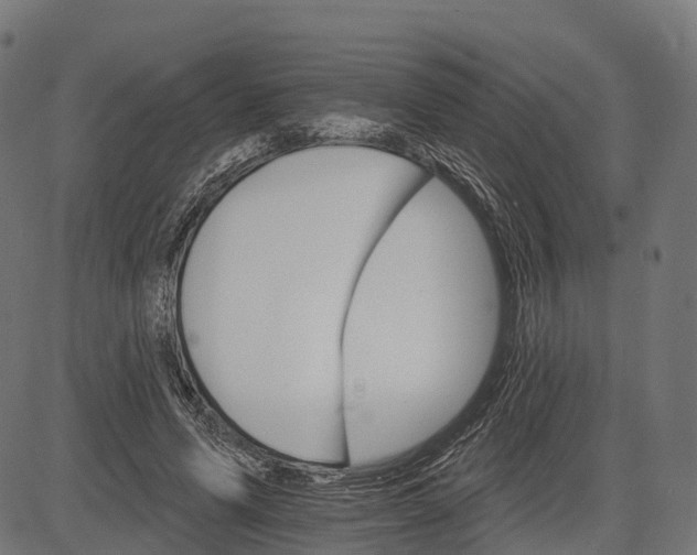 X0000084520591200703091604