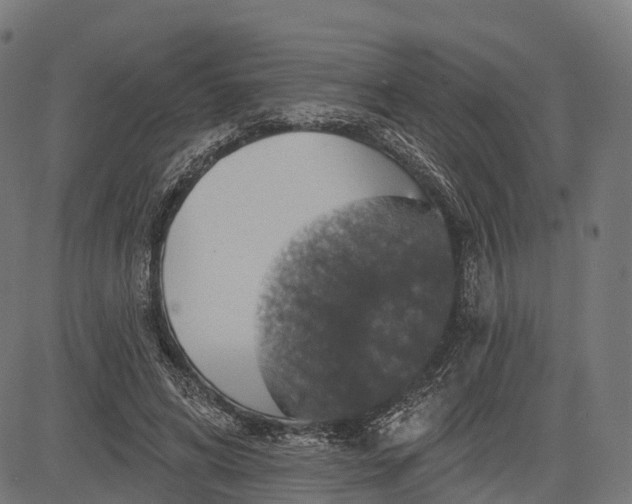 X0000084520592200703091604