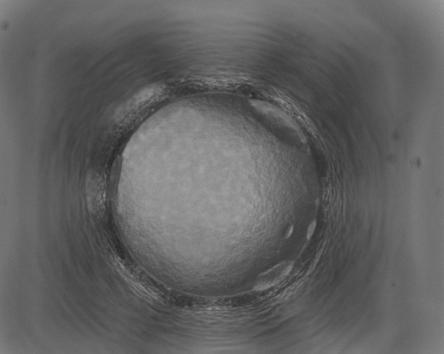 X0000084520593200703091604