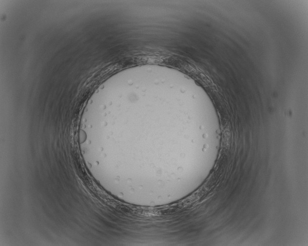 X0000084520594200703091604