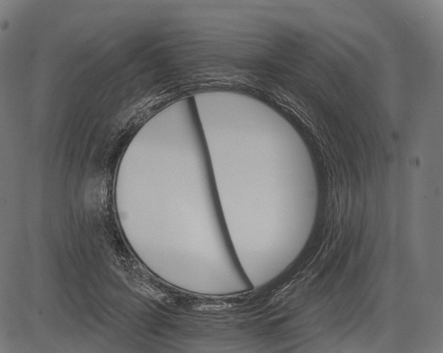 X0000084520595200703091604