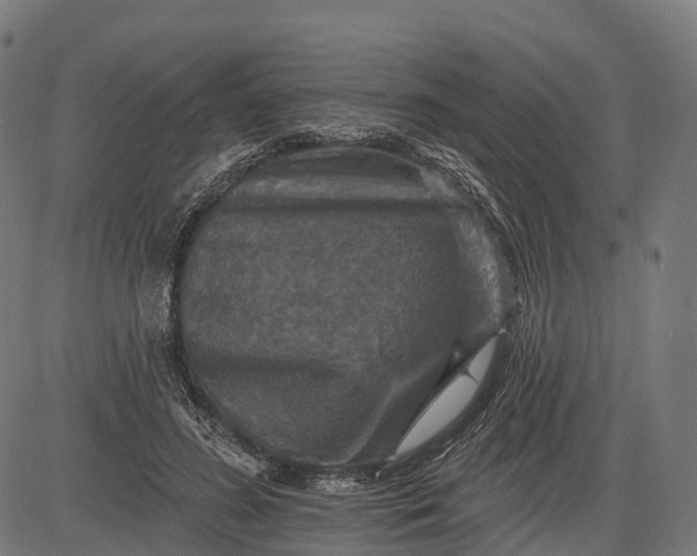 X0000084520596200703091604