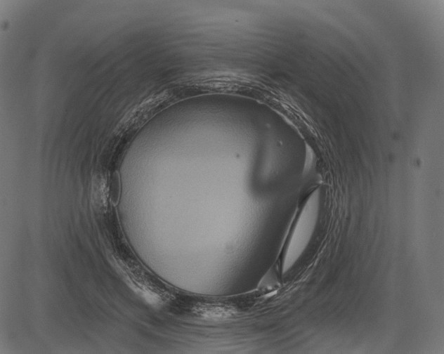 X0000084520597200703091604