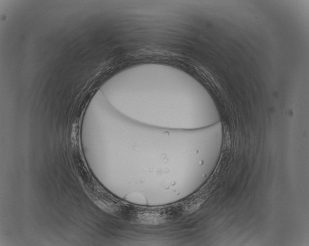 X0000084520598200703091604