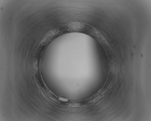 X0000084520599200703091604