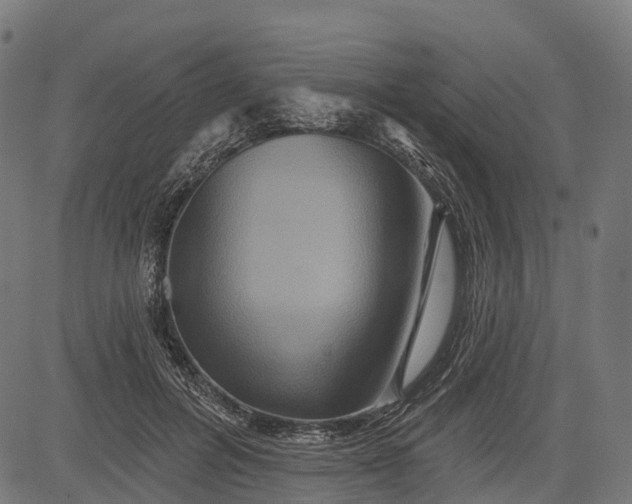 X0000084520600200703091604