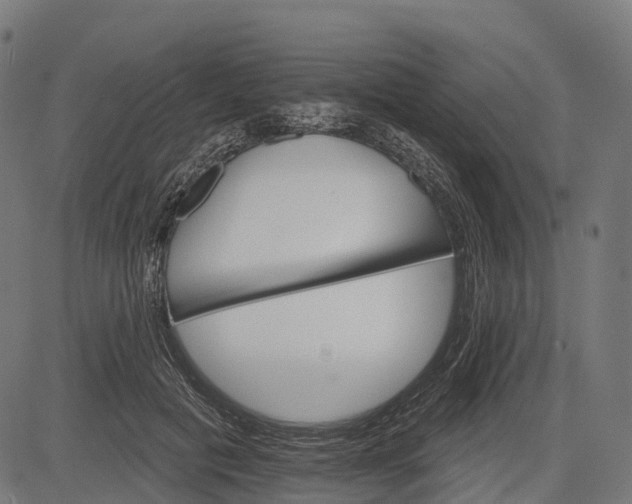 X0000084520601200703091604