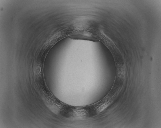 X0000084520603200703091604