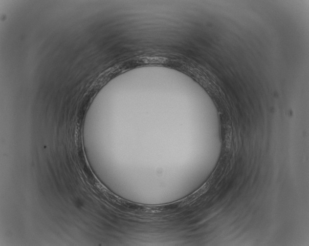 X0000084520604200703091604