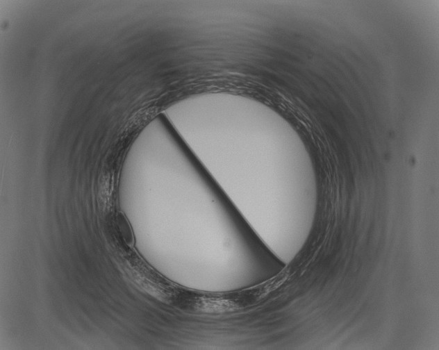 X0000084520605200703091604