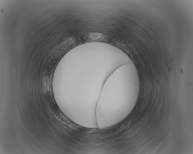 X0000084520606200703091604