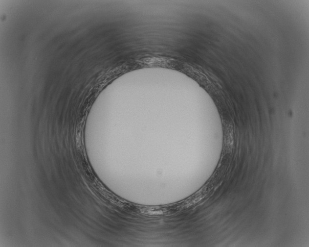 X0000084520607200703091604