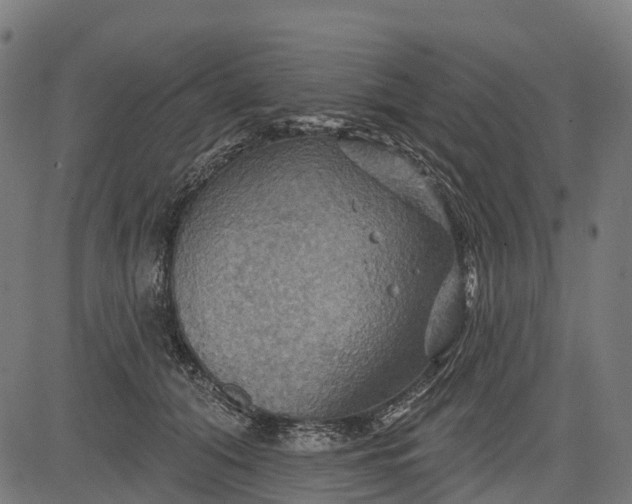 X0000084520608200703091604