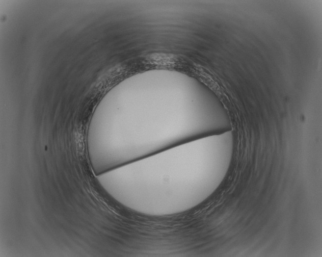 X0000084520609200703091604