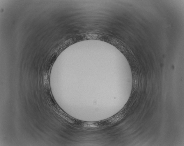 X0000084520610200703091604