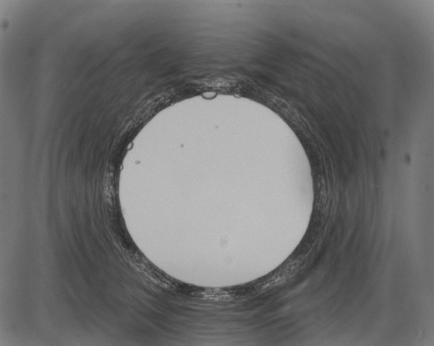 X0000084520612200703091604