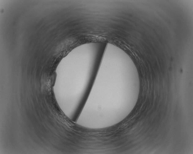 X0000084520613200703091604