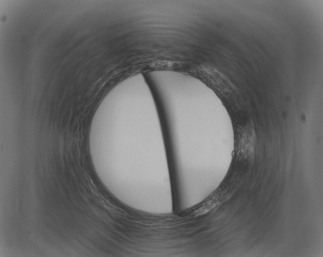 X0000084520616200703091604