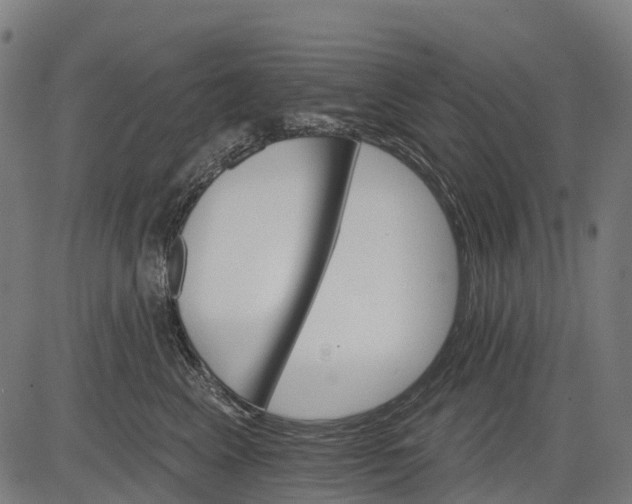 X0000084520617200703091604