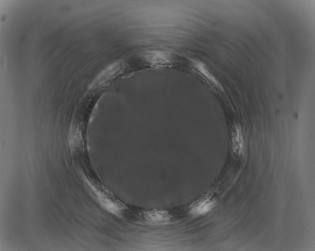 X0000084520618200703091604