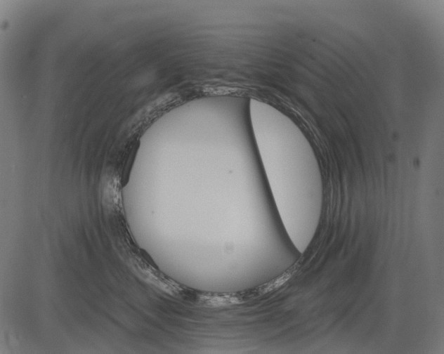 X0000084520621200703091604