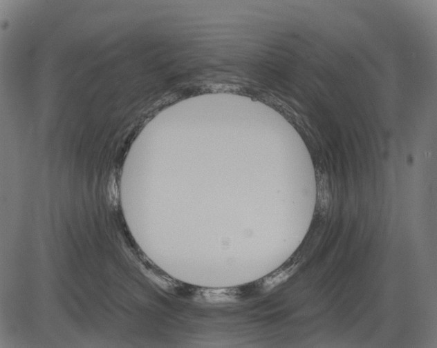 X0000084520622200703091604