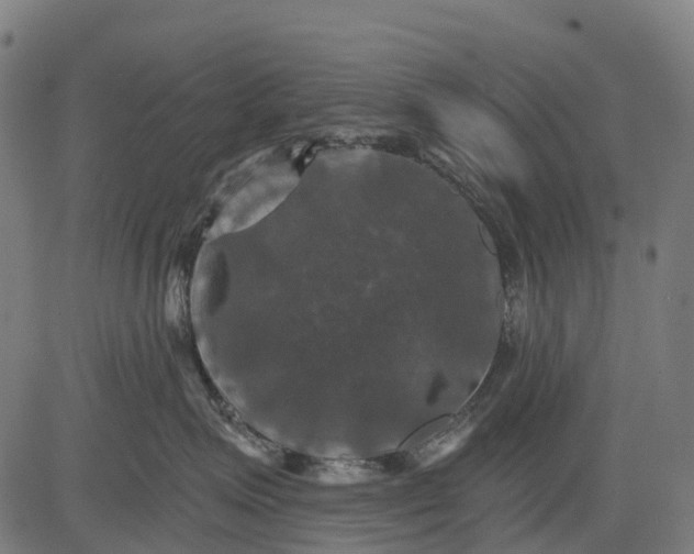 X0000084520623200703091604