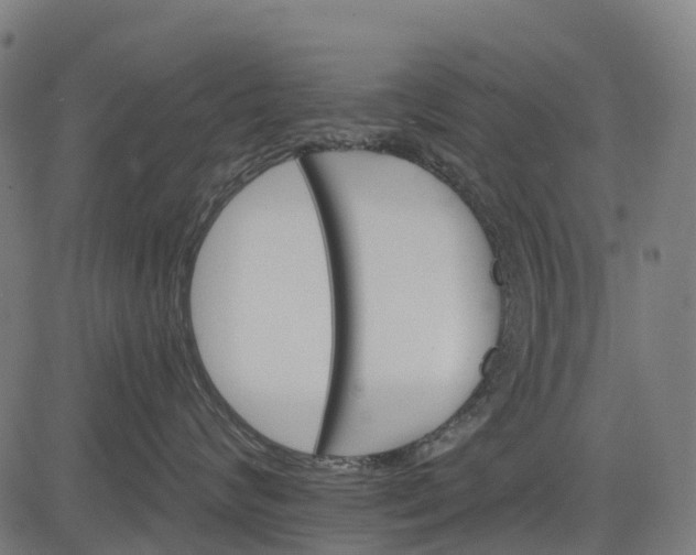 X0000084520624200703091604