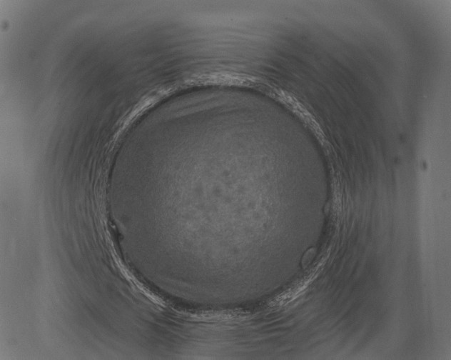 X0000084520625200703091603