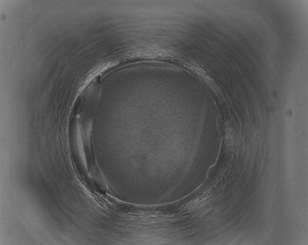 X0000084520626200703091603