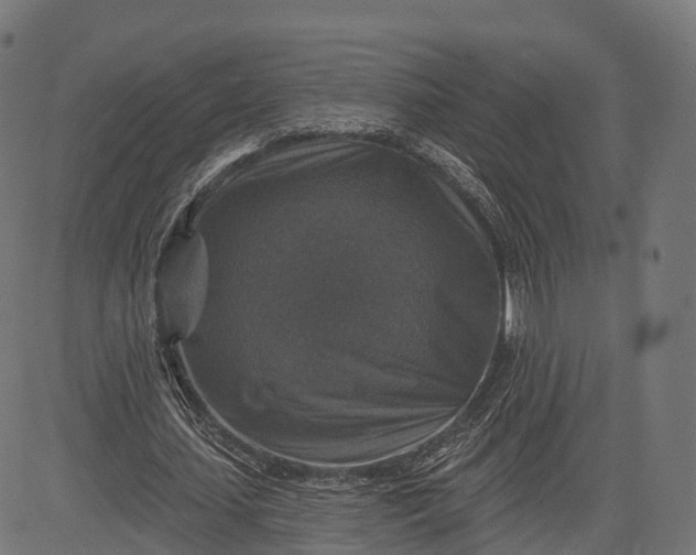 X0000084520627200703091603