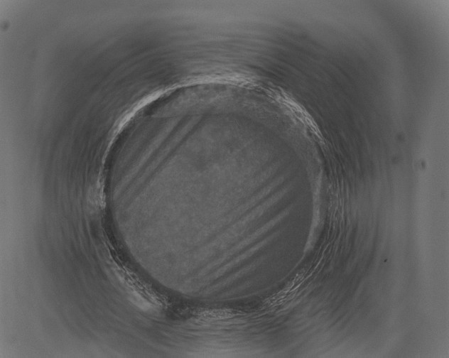 X0000084520628200703091603