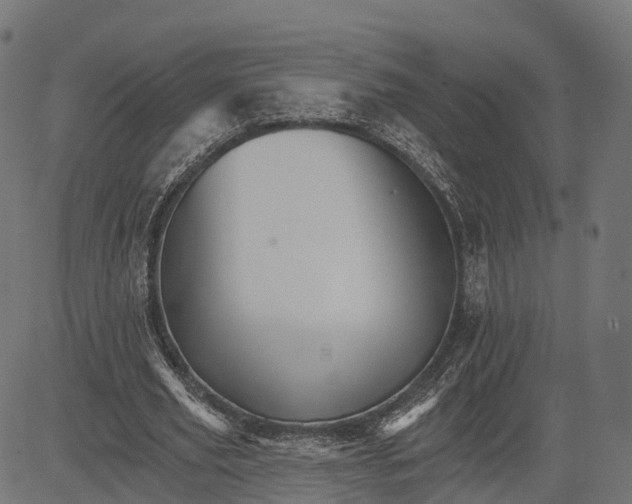 X0000084520629200703091603