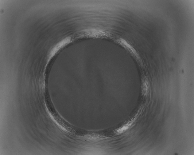 X0000084520630200703091603