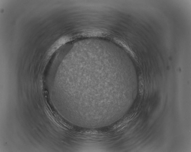 X0000084520631200703091603