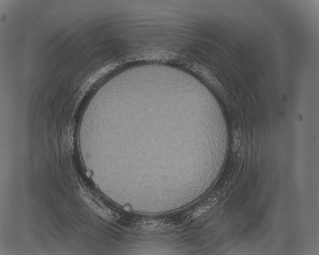 X0000084520632200703091603