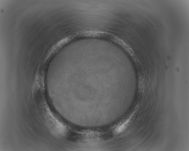 X0000084520633200703091603