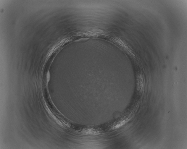 X0000084520634200703091603