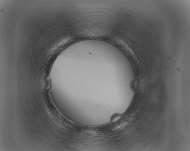 X0000084520635200703091603